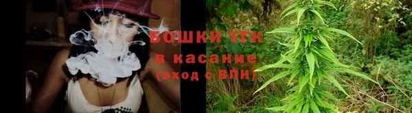 ГАЛЛЮЦИНОГЕННЫЕ ГРИБЫ Пересвет