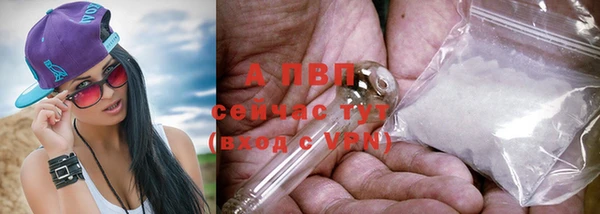 спиды Пестово
