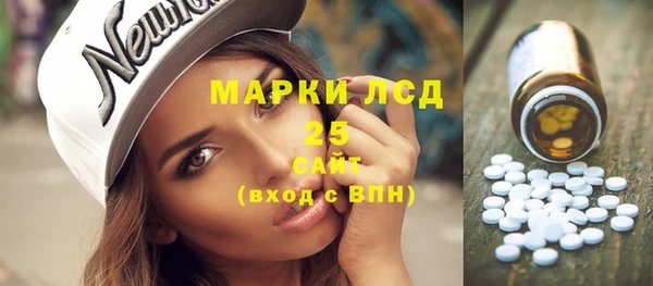 ГАЛЛЮЦИНОГЕННЫЕ ГРИБЫ Пересвет