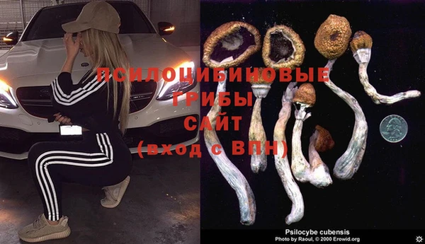 каннабис Переславль-Залесский