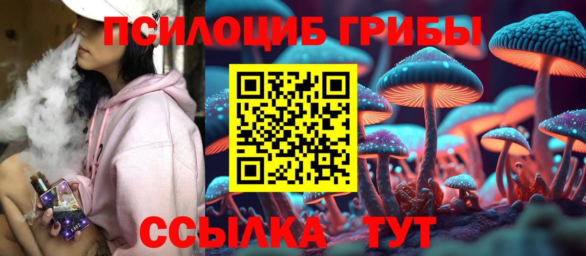 Курганинск  Псилоцибиновые грибы Psilocybine cubensis  продажа наркотиков  Вход с VPN 